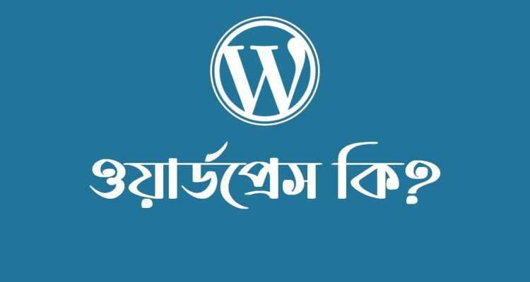 What Is WordPress